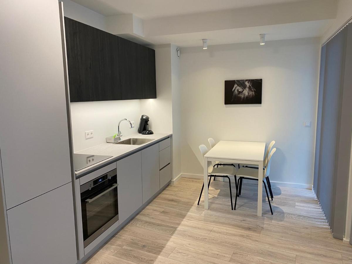 Laugavegur Apartment Reykjavík Zewnętrze zdjęcie